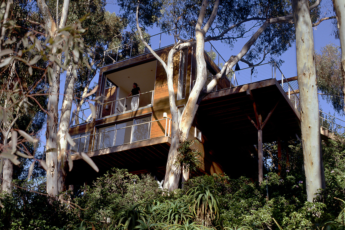 Tree House by Safdie Rabines Architects, San Diego