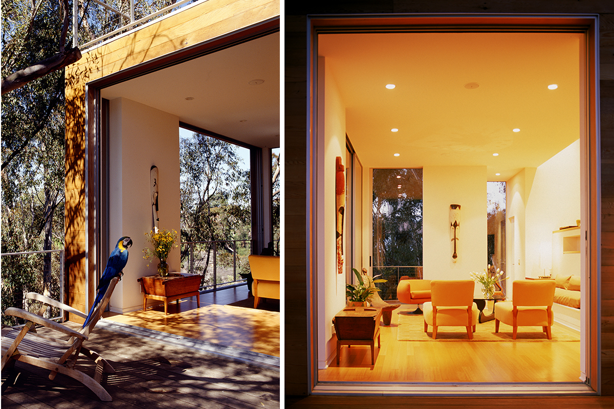 Tree House by Safdie Rabines Architects, San Diego