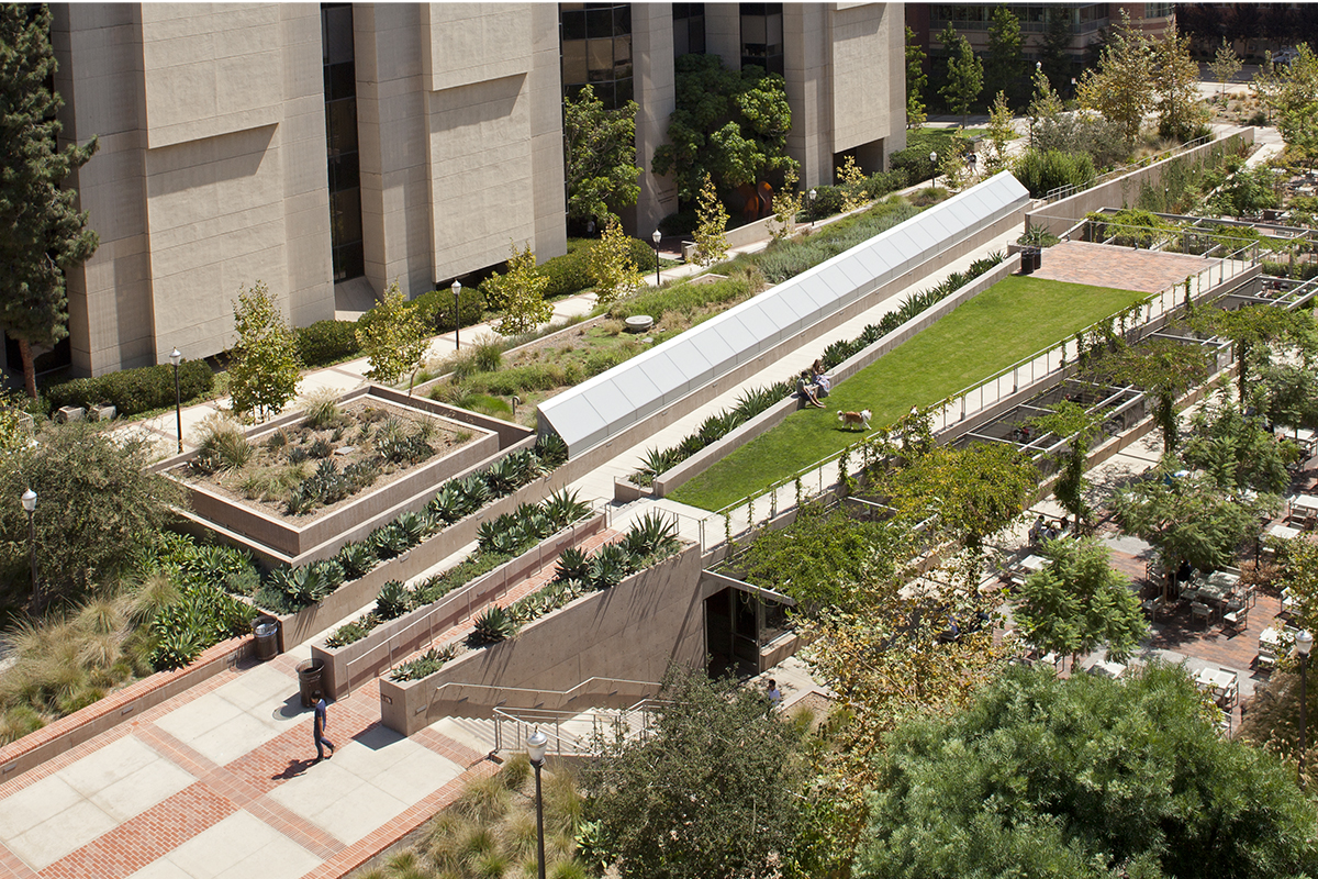 UCLA Student Center by Safdie Rabines Architects
